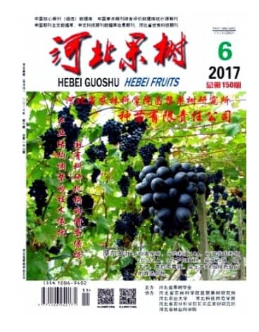 河北果树