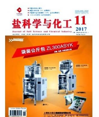 盐科学与化工