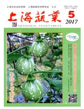 上海蔬菜