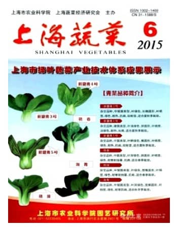 上海蔬菜