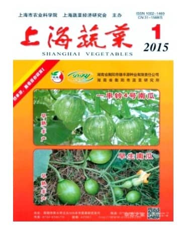 上海蔬菜