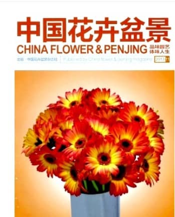 中国花卉盆景
