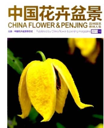 中国花卉盆景