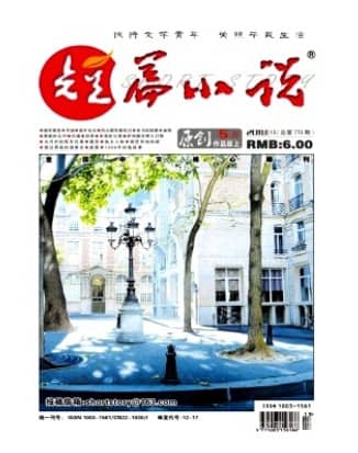 短篇小说