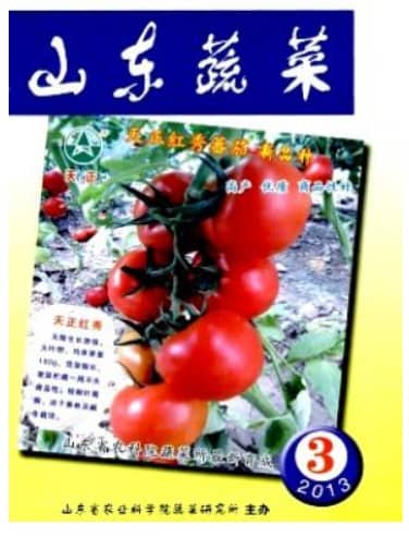 山东蔬菜