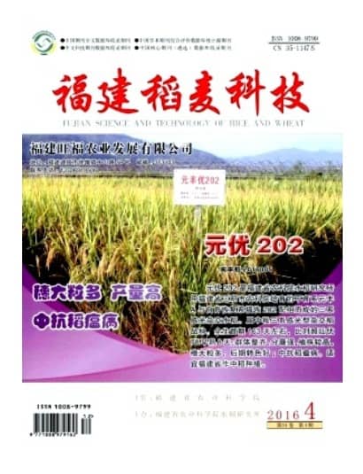 福建稻麦科技