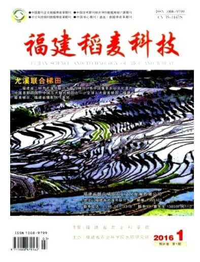 福建稻麦科技