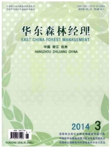 华东森林经理