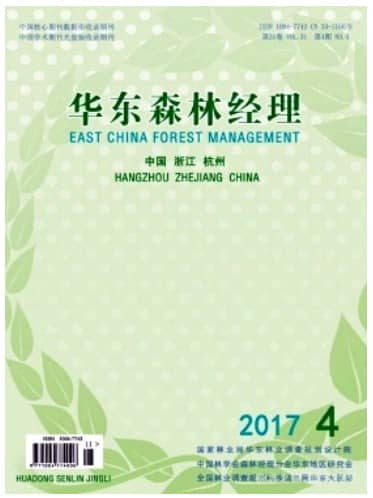 华东森林经理
