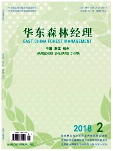 华东森林经理
