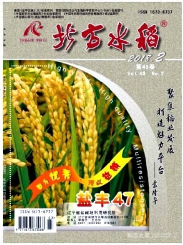 北方水稻