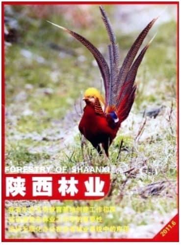 陕西林业