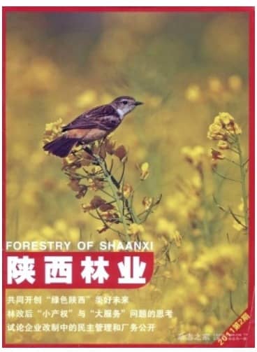陕西林业