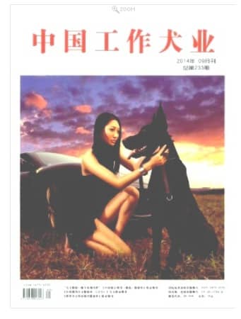 中国工作犬业