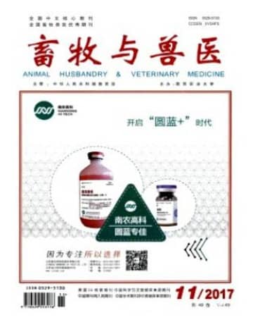 畜牧与兽医