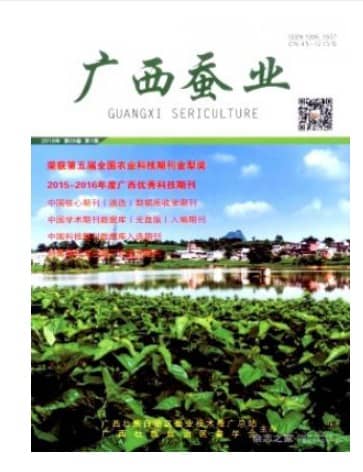 广西蚕业