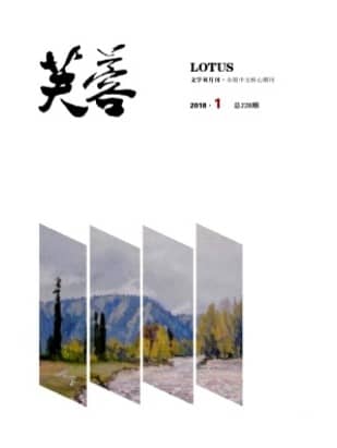 芙蓉