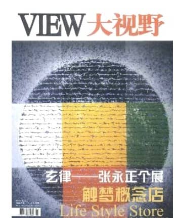 大视野