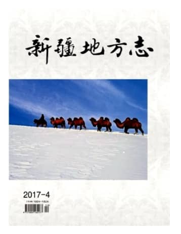 新疆地方志