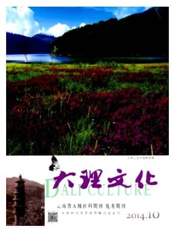 大理文化