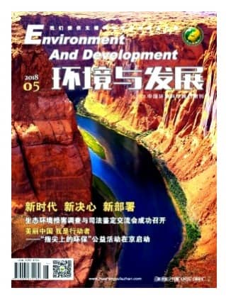环境与发展