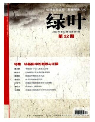 绿叶