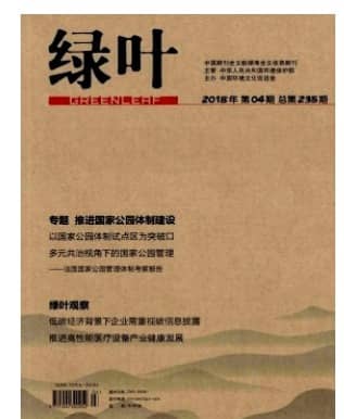 绿叶