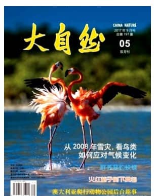 大自然