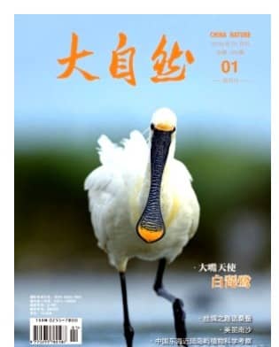 大自然
