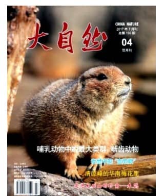 大自然