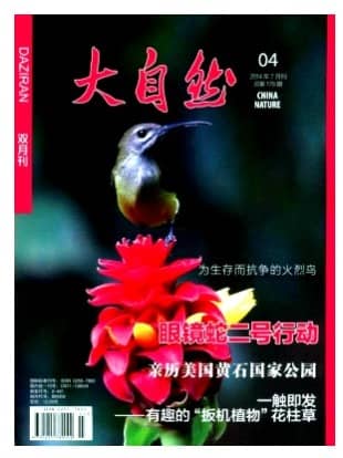 大自然
