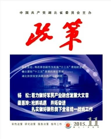 政策