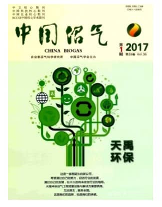 中国沼气