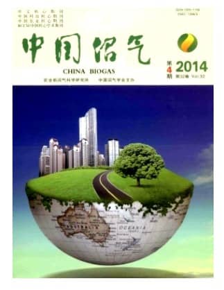 中国沼气