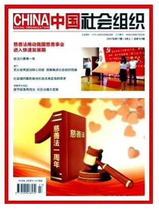 中国社会组织