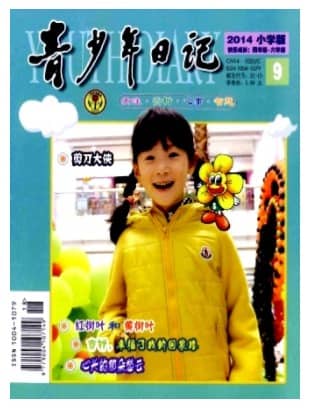青少年日记