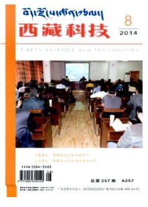 西藏科技