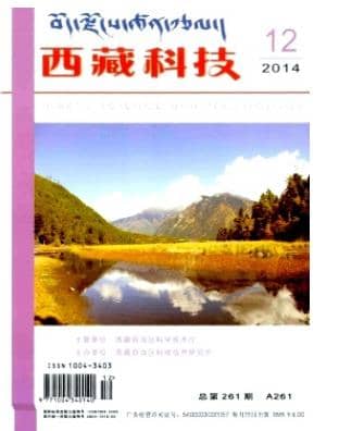 西藏科技