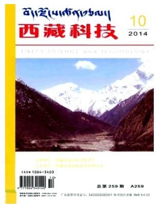 西藏科技