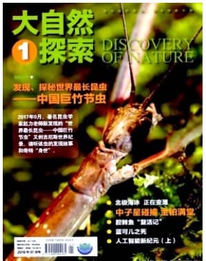 大自然探索
