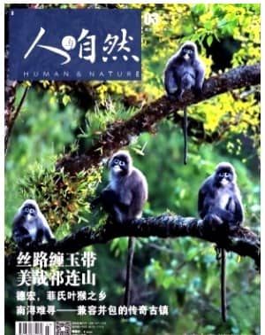 人与自然