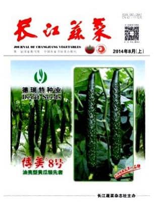 长江蔬菜