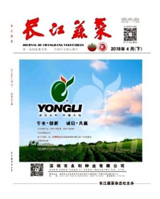 长江蔬菜