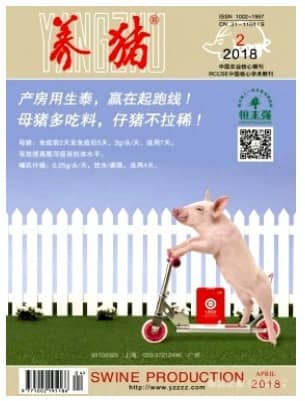 养猪