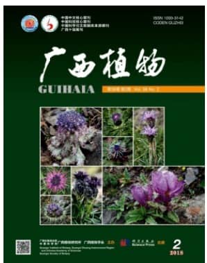 广西植物