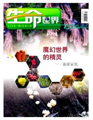 生命世界