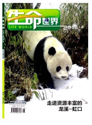 生命世界