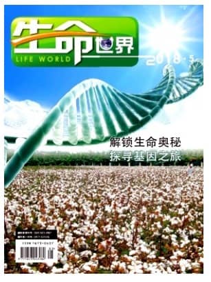 生命世界