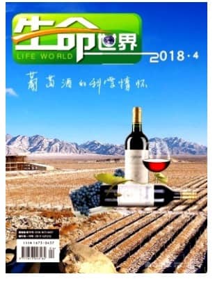 生命世界
