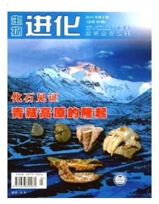 生物进化